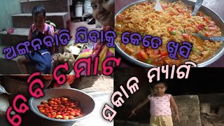 || ks gungun vlog || # ଆଜି ମୁଁ ଚୁଲି ଲଗେଇ ରୋଷେଇ କଲି # ଆମର ଆସିଛି ବେବି ଟମାଟ #ks gungun vlogଓଡ଼ିଆ ଭିଡ଼ିଓ.