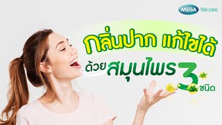 กลิ่นปากแก้ไขได้ด้วยสมุนไพร 3 ชนิด | ครบถ้วนเรื่องสุขภาพกับ Mega Wecare