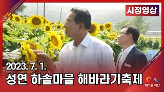 성연 하솔마을 해바라기축제(2023.7.1.토)