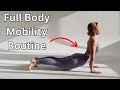 Change Your Life With Mobility! Full Body Daily Routine