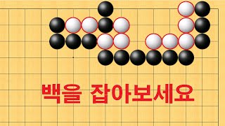 바둑 묘수 사활 - 기가막힌 묘수로 백을 잡아보세요