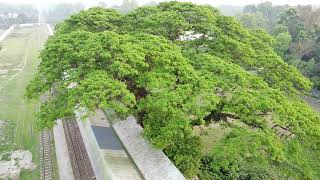 ISLAMPUR STATION/ ইসলামপুর বাজার রেলওয়ে স্টেশন