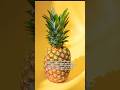 Pineapple Skin's Secret || Did You Know || #facts #shorts