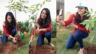 CatherineTres Accepted Green India Challenge | Tollywood | Tollywood News