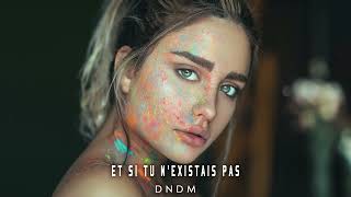 DNDM - Et Si Tu N'existais Pas (Original Mix)