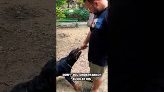 Put Your Hand Inside A Rottweilers Mouth. Defending Bubzee The Male Rottweiler Dog. #shorts #viral