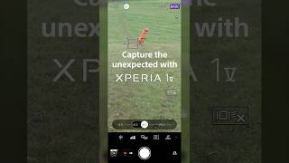 You can’t always predict what’s going to pop into your shot… 🦖 #Xperia1V