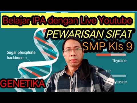 Live Pewarisan Sifat Pada Makhluk Hidup Kelas 9 SMP (recorded) - YouTube