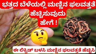 ಭತ್ತದ ಬೆಳೆಯಲ್ಲಿ ಮಣ್ಣಿನ ಫಲವತ್ತತೆ ಹೆಚ್ಚಿಸುವುದು ಹೇಗೆ !#paddy #vrialvidio #varilshorts #farming #fypシ゚ ゚