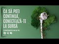 ca să poți continua conectează te la sursă un miracol pe zi