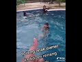 dorong anak owner kekolam chek onyo lagi diem ngeliatin kolam eh didorong