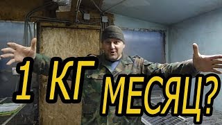 КРОЛИК 1 КГ в месяц ...