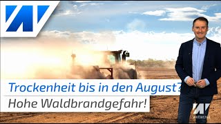 Heftige Sommerprognose 2020: Dürre bis August! Waldbrandgefahr erreicht nun höchste Warnstufe 5!