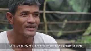 WWF's Alternative Livelihoods