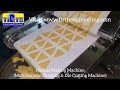 Nachos Making Machine | Tirth Engineering