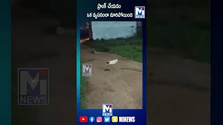 ప్రాంక్ చేయడం ఒక వ్యసనంలా మారిపోయింది#trending #mitv #viralvideo #youtubeshorts