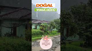 Şimdi Ara Ver 🌿 Doğal Yoga Gücü: Stresi 3 Dakikada Azalt! 🧘‍♀️✨ #YogaMüziği 🎶  🧘 #DoğalŞifa