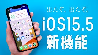 iOS15.5が配信開始！新機能や不具合について解説します。