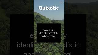 Quixotic