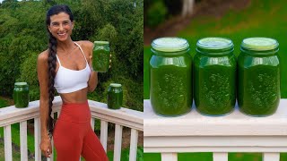 Good for Everything Green Juice! 🌱My Daily Breakfast Recipe 🥒 Beginner & Advanced Batch Juicing Tips