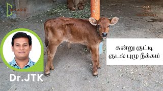 06 கன்று குட்டி குடல் புழு நீக்கம் | Dr JTK | கன்று குட்டி மேலாண்மை | Dvara E-Dairy