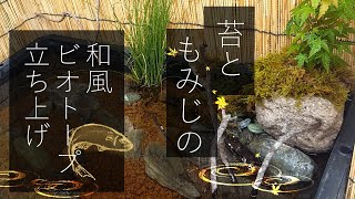 トロ舟メダカビオトープ立ち上げ～苔ともみじの和風レイアウト～