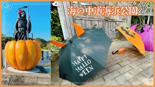 福岡ハロウィン🎃海の中道海浜公園と福岡タワー イルミネーション［vlog］