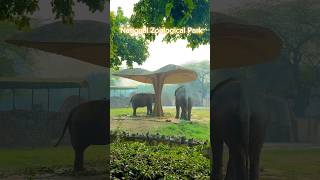 National Zoological Park चिड़ियाघर# #crazykuldeepvlogs #nationalzoological #trendingshorts #viral