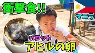 【超ゲテモノ】東南アジアで衝撃の料理\