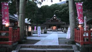 #街並み保存プロジェクト 京都・桜咲く出雲大神宮-Cherry blossoms at the Izumo Daijingu Shrine