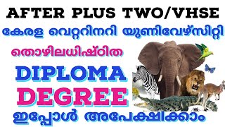 കേരള വെറ്ററിനറി സർവ്വകലാശാലയിൽ ഡിപ്ലോമ, ഡിഗ്രി പ്രവേശനം|KVASU Diploma,Degree online Admission