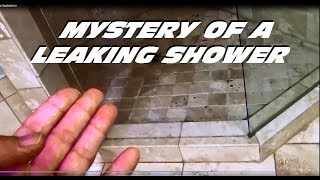 Shower Leak Mystery