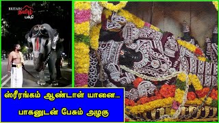 ஸ்ரீரங்கம் ஆண்டாள் யானை - பாகனுடன் பேசும் அழகு | Srirangam Ranganathar | Britain Tamil Bhakthi