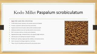 Kodo Millet Paspalum scrobiculatum