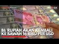 BI: Rupiah akan Kembali ke Bawah 16 Ribu per USD | IDX CHANNEL