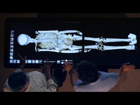 When was King Tut born and died?