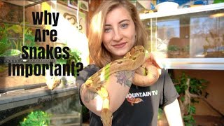 Why Are Snakes Important?