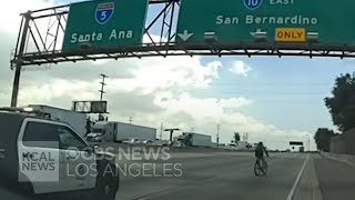 Shooting suspect rides bicycle on freeway during pursuit with LAPD