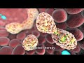 lung cancer treatment animation premier hematology u0026 oncology