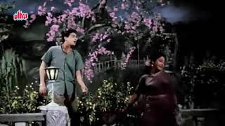 Dil Tera Diwana (1962) - Masoom Chehra Ye Qatil Adayen (Lata - Rafi). Music:- Shankar Jaikishan...