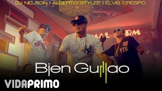DJ Nelson X Alberto Stylee X Elvis Crespo - Bien Guillao [Official Video]