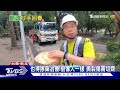 清到崩潰 樹不敵強風全倒 清潔隊忙善後｜tvbs新聞 @tvbsnews02