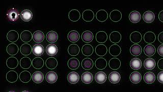 QuickSpots Spot Array Analysis Full Walkthrough