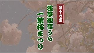 第17回 浅草観音うら一葉桜まつり