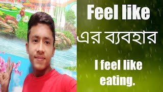 Feel like অর্থ ইচ্ছা বা আকাঙ্খা প্রকাশ করা।