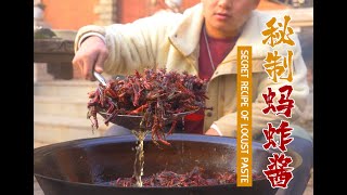 乡村特色美食秘制蚂蚱酱，一口吃回小时候！| 赤脚小鲜 | Secret Chinese Recipe of Locust Paste