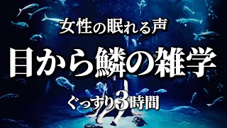 【睡眠導入】目から鱗の雑学3時間【女性合成音声】