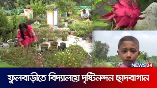 বাসাবাড়িতে নয়, বিদ্যালয়ের ছাদে দৃষ্টিনন্দন বাগান | Roof Garden | School Garden | Dinajpur | News24