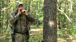 How To Call Deer In Early Season, Eddie Salter,