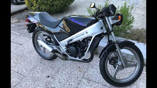 Suzuki Wolf 50